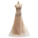 Elegant Sweetheart Floor Length Organza Rhinestone Evening Dresses